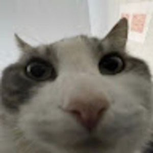 Meet your Posher, Goose punch